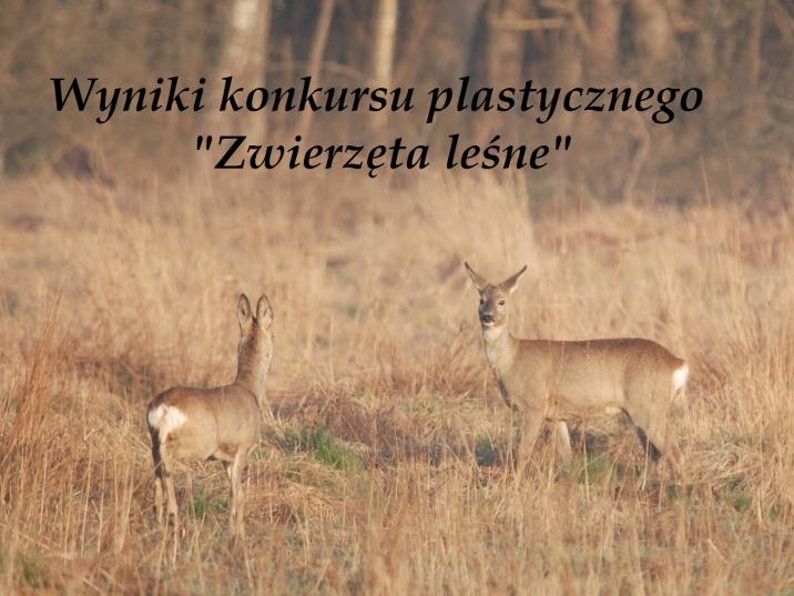 Wyniki&#x20;konkursu&#x20;plastycznego