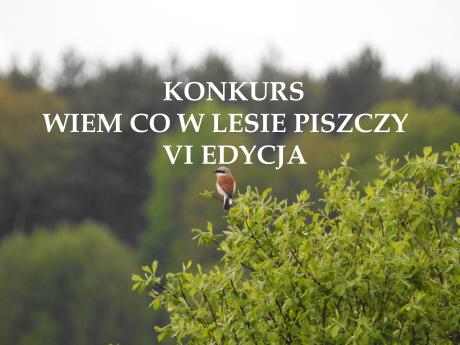 Konkurs "Wiem co w lesie piszczy" -VI edycja - Listy gatunków