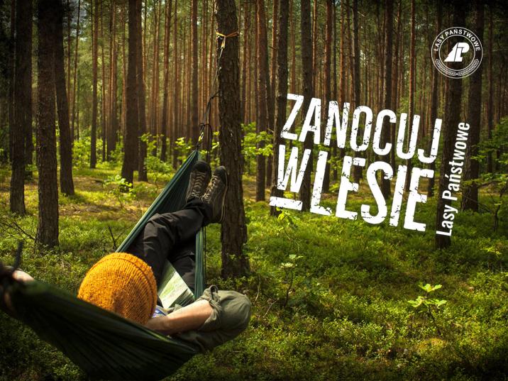Zanocuj&#x20;w&#x20;lesie&#x20;plakat