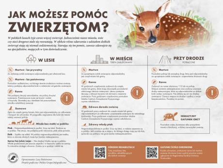 Zalazłeś pisklę? Nie zabieraj go do domu